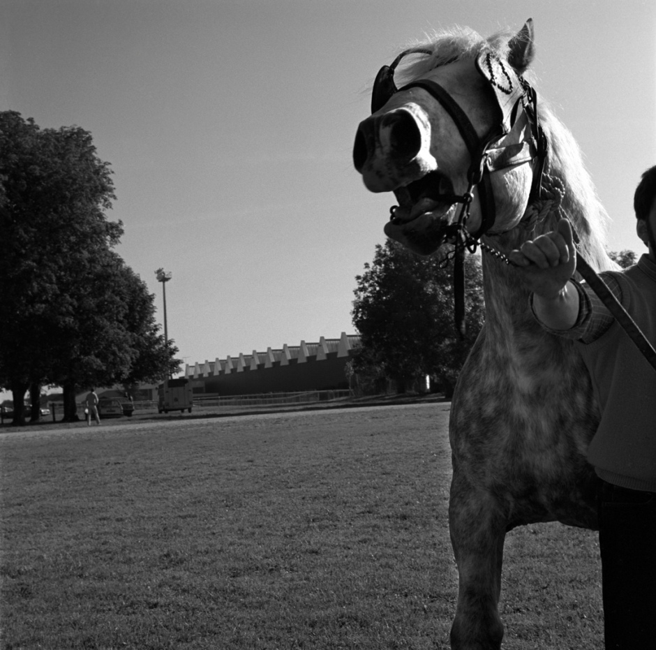 France, Lisieux, 20th October 1985Lisieux racetrackFrance, Lisieux, 20 octobre 1985Hippodrome de Lisieux