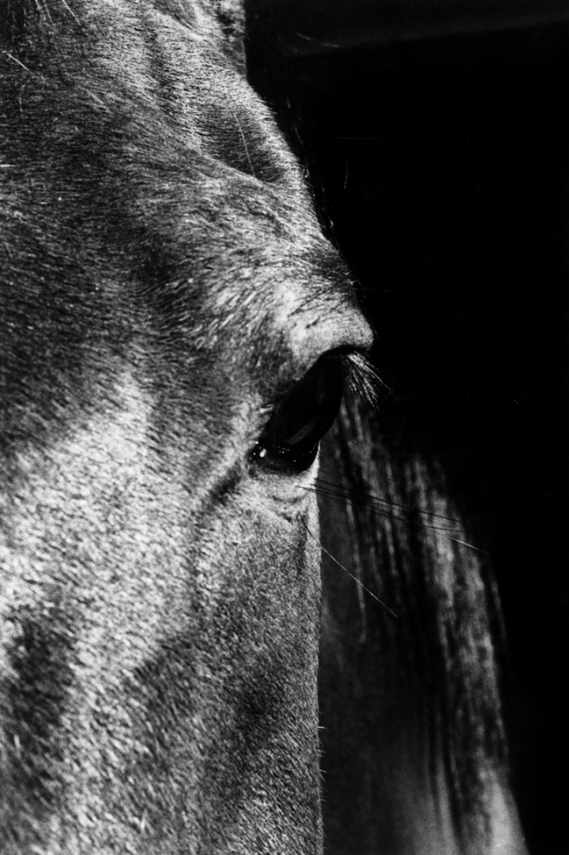 France, Drome, Marsay, 1980