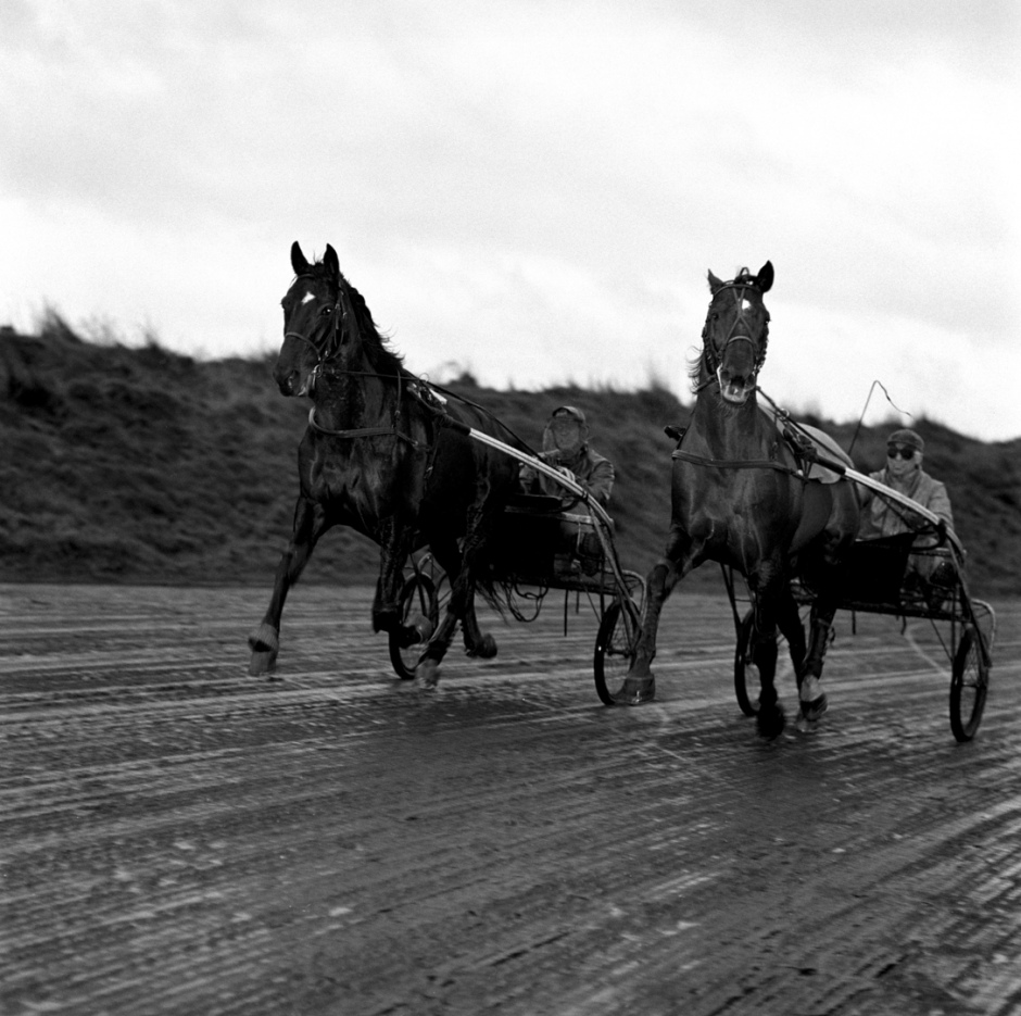 France, Vincennes, January 1986Trotters, Prix d'AmÈriqueFrance, Vincennes, janvier 1986Trotteurs, prix d'AmÈrique