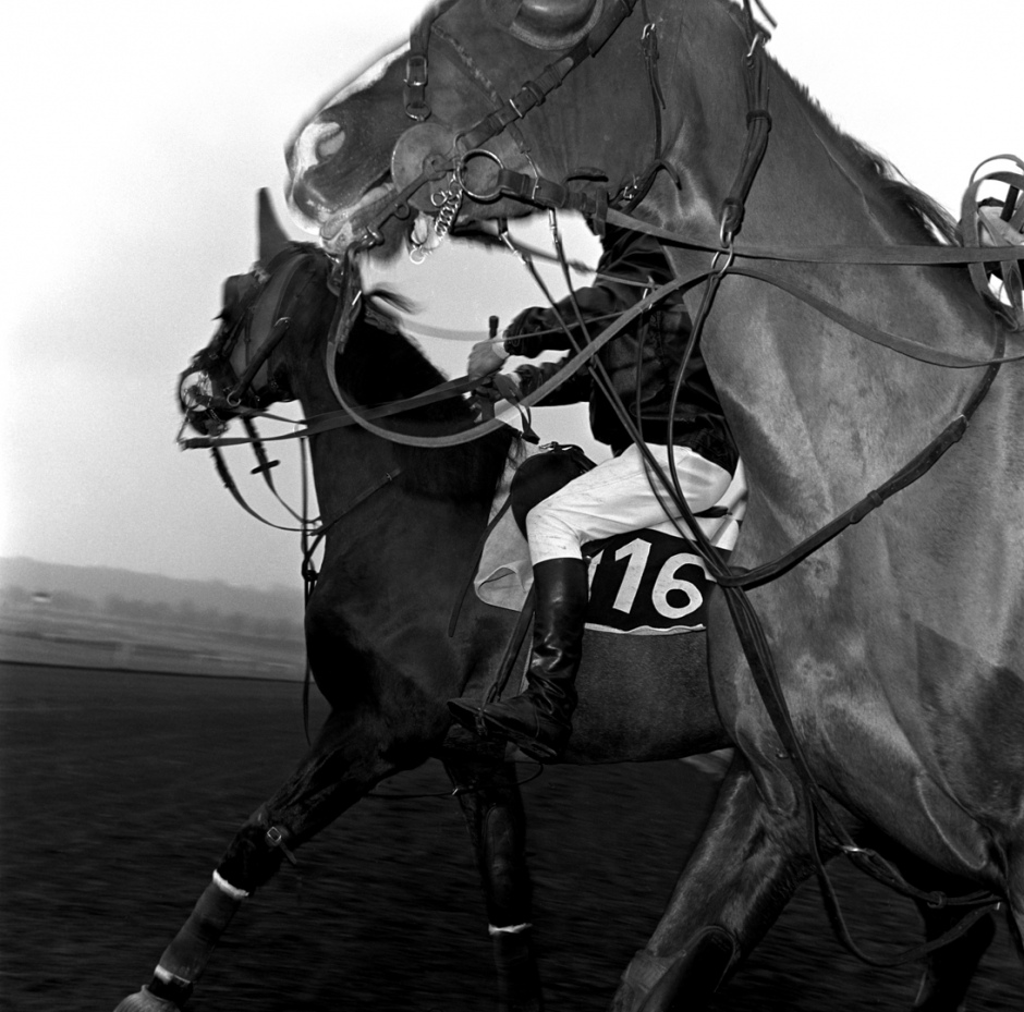 France, Vincennes, 1984TrottersFrance, Vincennes, 1984Trotteurs