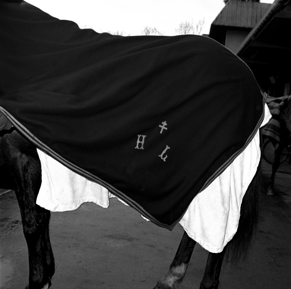 France, Vincennes, 1984TrotterFrance, Vincennes, 1984Trotteur