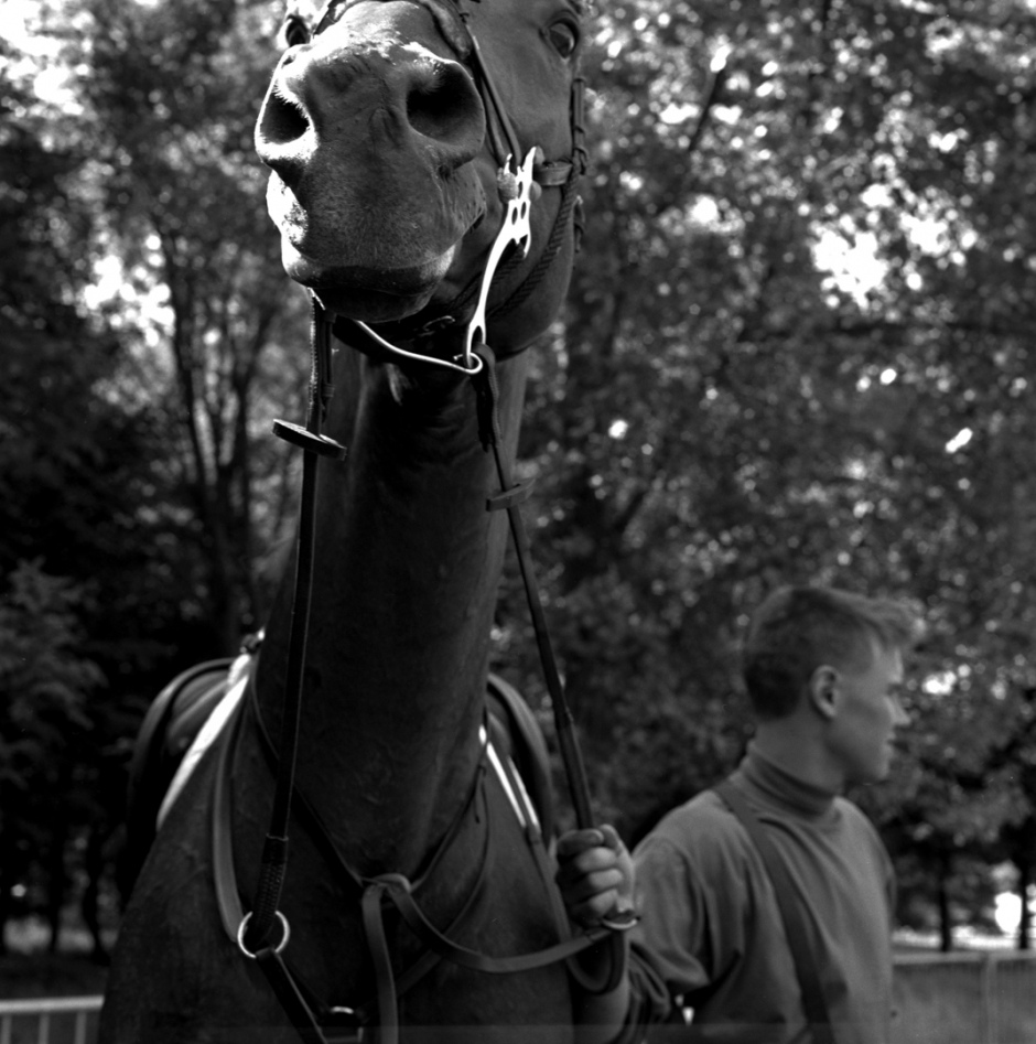 France, La Courneuve, May 1993Show jumpingFrance, La Courneuve, mai 1993Concours de saut d'obstacles