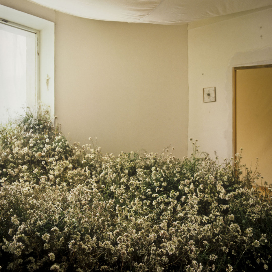 France, 1981/1984"Evolution probable du temps" (The probable evolution of time), the white bushFrance, 1981/1984"Evolution probable du temps", Le buisson blanc  Bernard Faucon / Agence VU