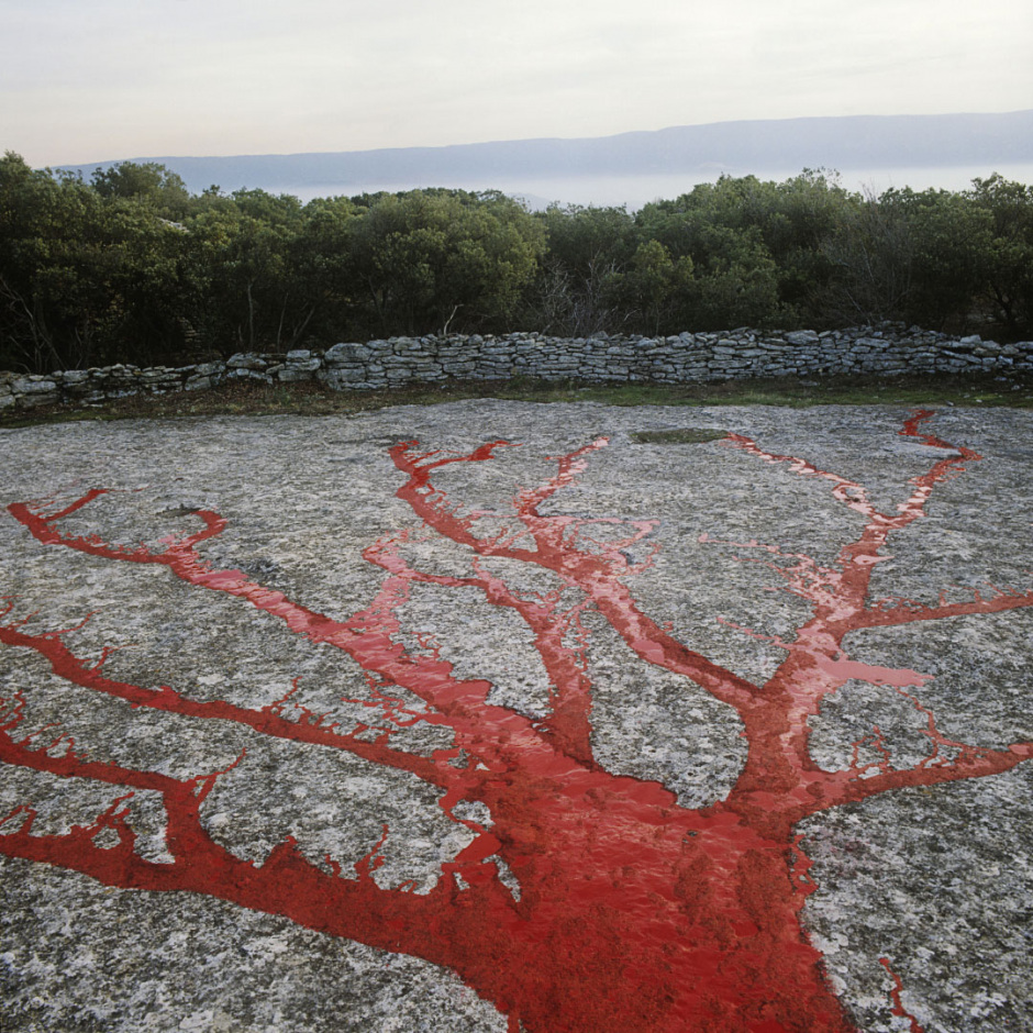 France, 1991"Idols and sacrifices", The tree shadowFrance, 1991"Les idoles et les sacrifices", L'ombre de l'arbre  © Bernard Faucon / Agence VU