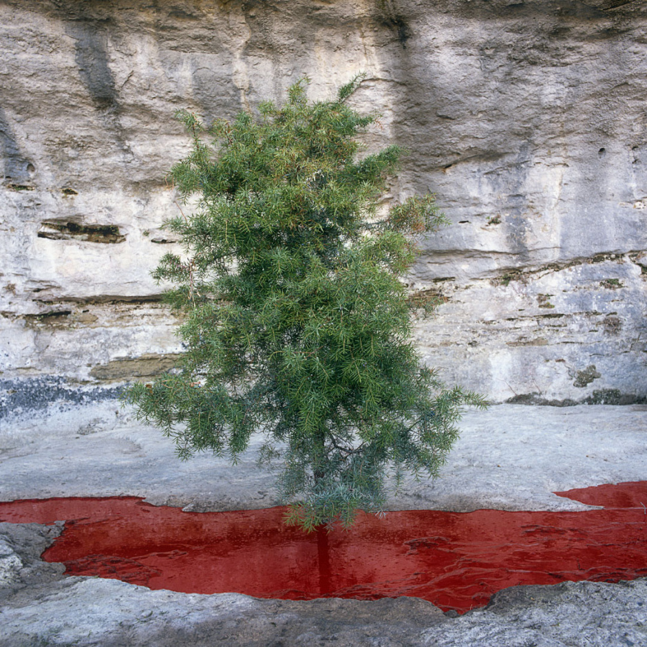 France, 1991"Idols and sacrifices", The small treeFrance, 1991"Les idoles et les sacrifices", Le petit arbre  © Bernard Faucon / Agence VU