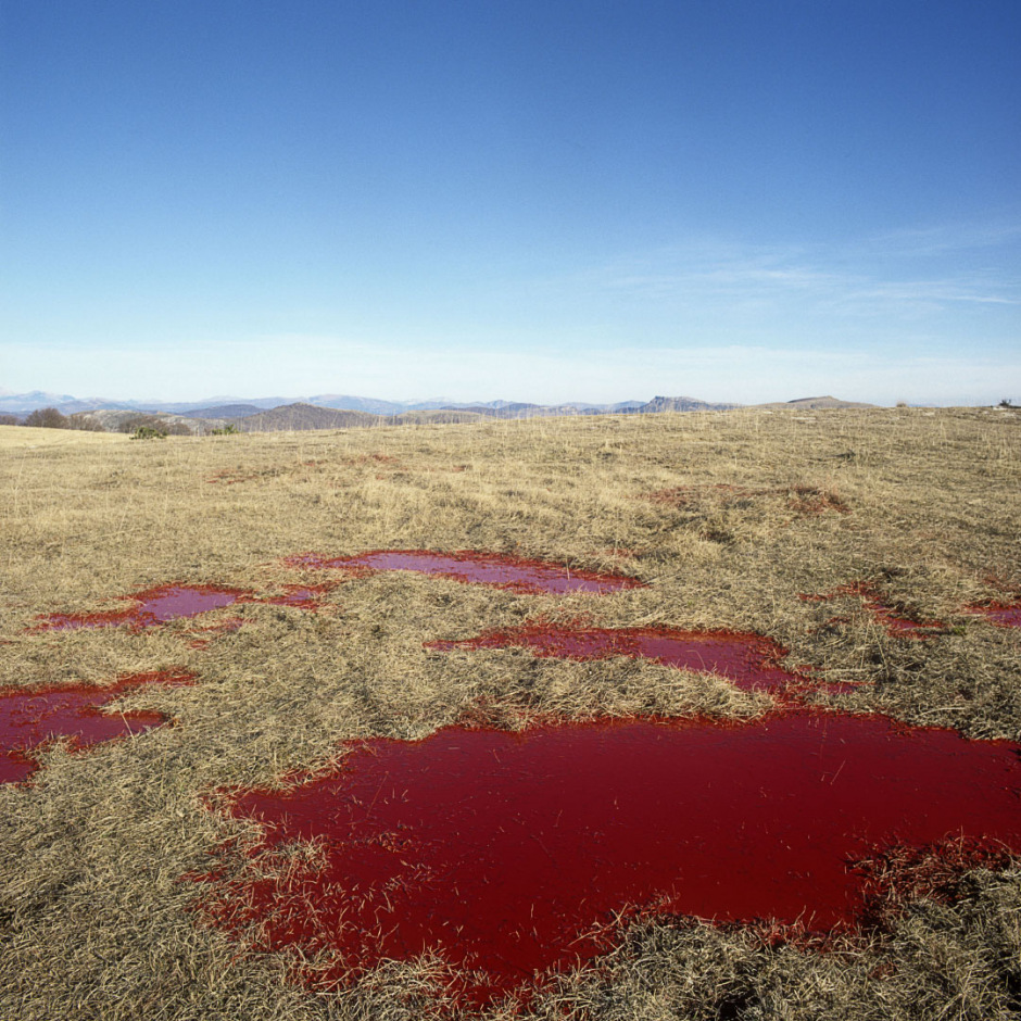 France, 1991"Idols and sacrifices", The pondsFrance, 1991"Les idoles et les sacrifices", Les flaques  © Bernard Faucon / Agence VU