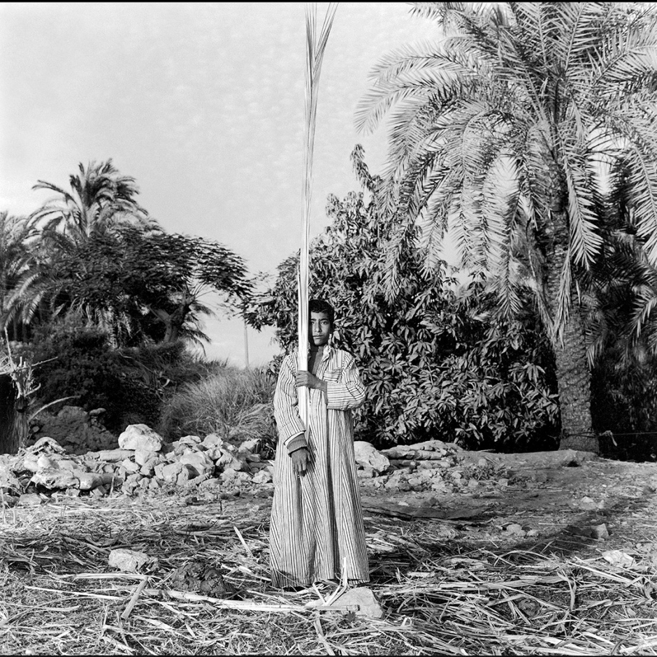 Egypt, Louxor, 1994
On the Nile riverbank

Egypte, Louxor, 1994  
Sur les rives du Nil

Denis Dailleux / Agence VU