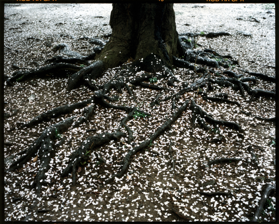 Japan, Tokyo, 1998Tokyo and its area.Japon, Tokyo, 1998Tokyo et sa rÈgion.© Bertrand Desprez / Agence VU