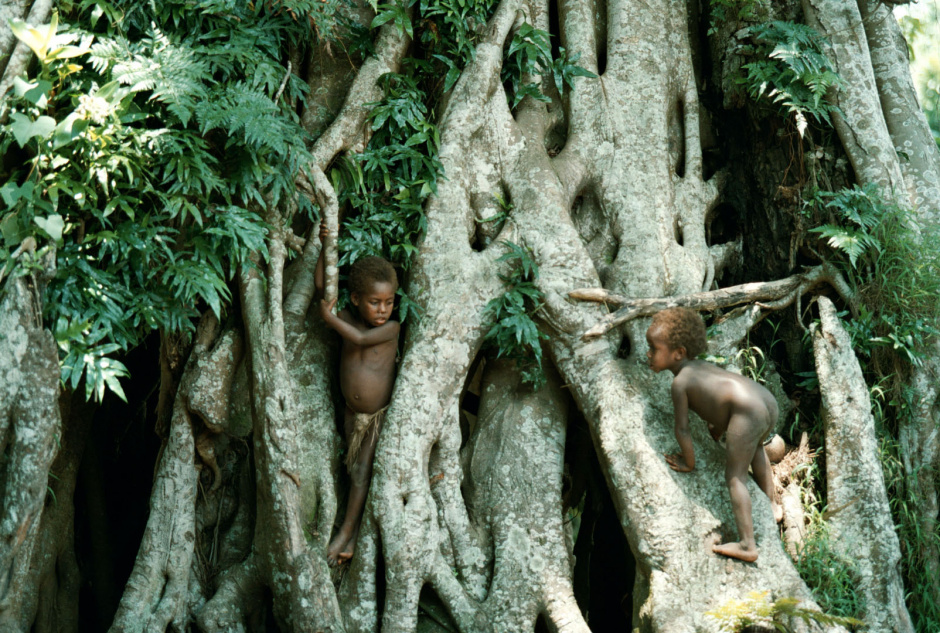 Vanuatu, Tanna Island, 1999On the island of Tanna in Vanuatu a cargo cult still survives worshipping John Frum.On John Frum Day worshipers dress in USA military uniforms,raise the US flag, and parade marching with bamboo rifles.Photo shows a young boys playing in a village that worships John Frum . Vanuatu, L'Óle Tanna, 1999Sur l'Óle de Tanna ‡ Vanuatu un cargo de lÈgende existe toujours en mÈmoire ‡ John Frum.Le jour de John Frum, les fidËles s'habillent en tenue militaire de l'armÈe amÈricaine, ils hissent le drapeau, et font des parades avec des carabines en bambou. La photo montre un jeune garÁon jouant dans le village o˘ est vÈnÈrÈ John Frum.Steven Siewert / Agence VU