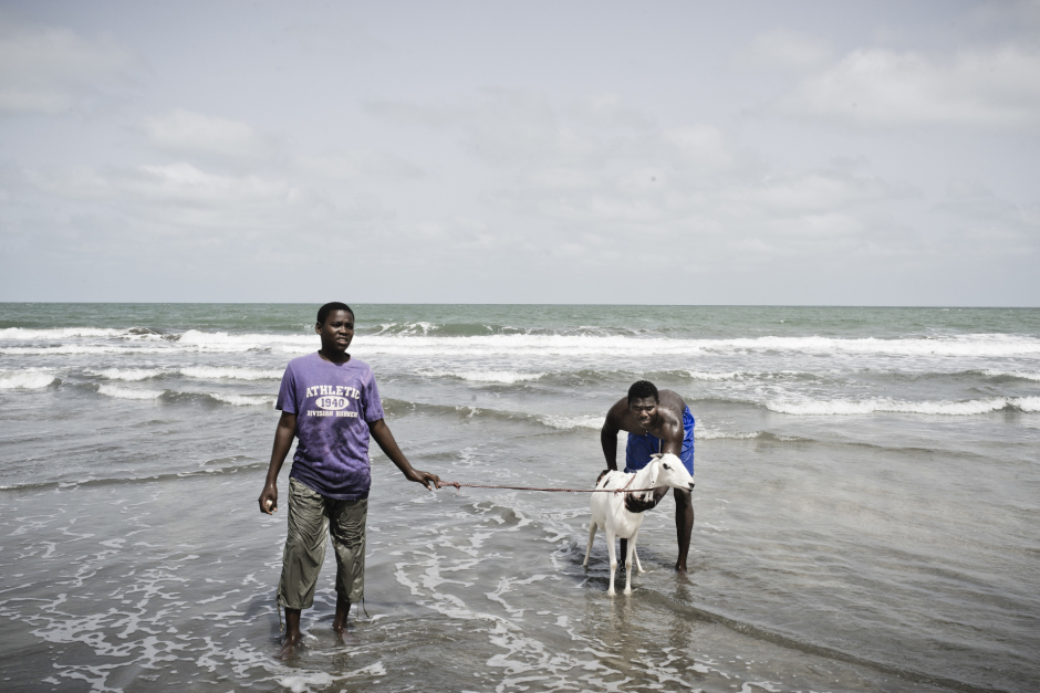 Republic of the Gambia, Banjul, 28 June 2015Gambia is the first country of migration to Europe in the world.Two men washing cattle on the beach.Gambie, Banjul, 28 juin 2015La Gambie est le pays qui enregistre le plus de dÈparts de migrants vers l'Europe.Deux hommes nettoient leur bÈtail sur la plage.?Michael Zumstein / Agence VU
