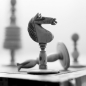 ChessboardJeu d'Èchecs  © Quentin Bertoux / Agence VU