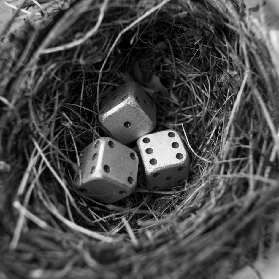 NestNid  © Quentin Bertoux / Agence VU