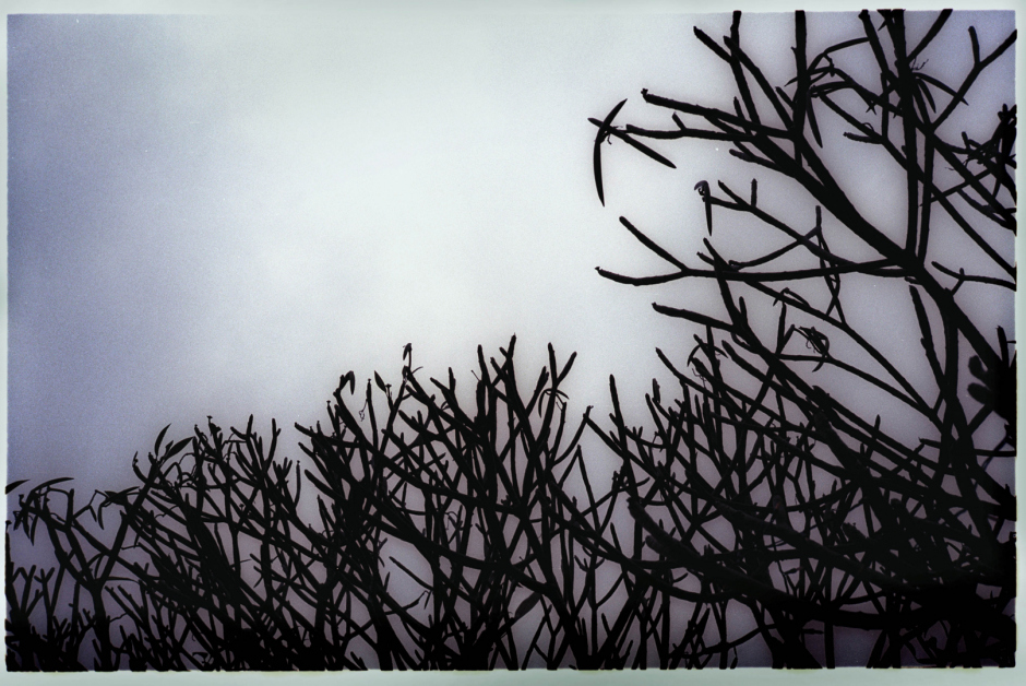 China, Shenzhen, 2001Chine, Shenzhen, 2001© Aniu / Agence VU