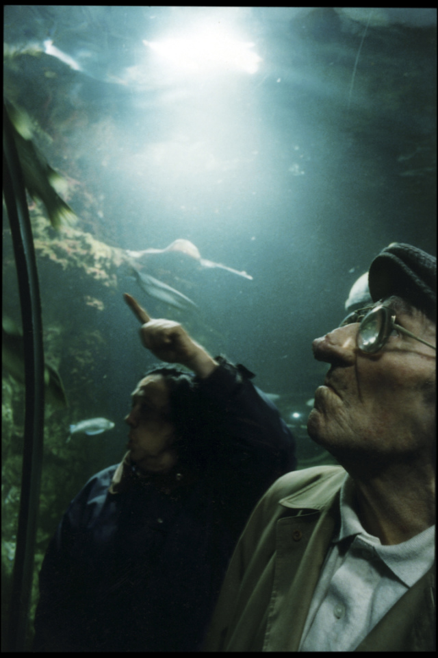 France, Croisic, 1998 - Visiting an ocearium during a visit trip organized by the Geriatrics department of the local Houdan hospital.