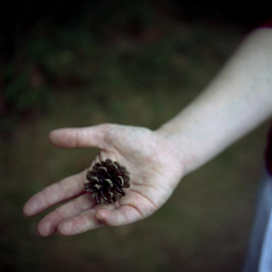 France, Ibardin, 2002 - Pine cone.