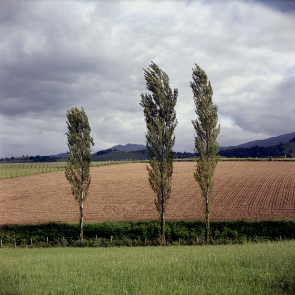France, Musculdy, 2000