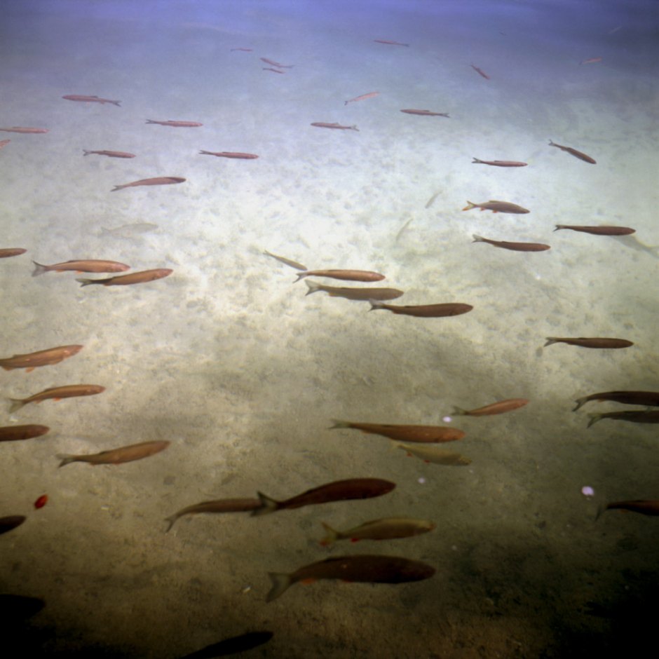 Croatia, Plitvice, 2002