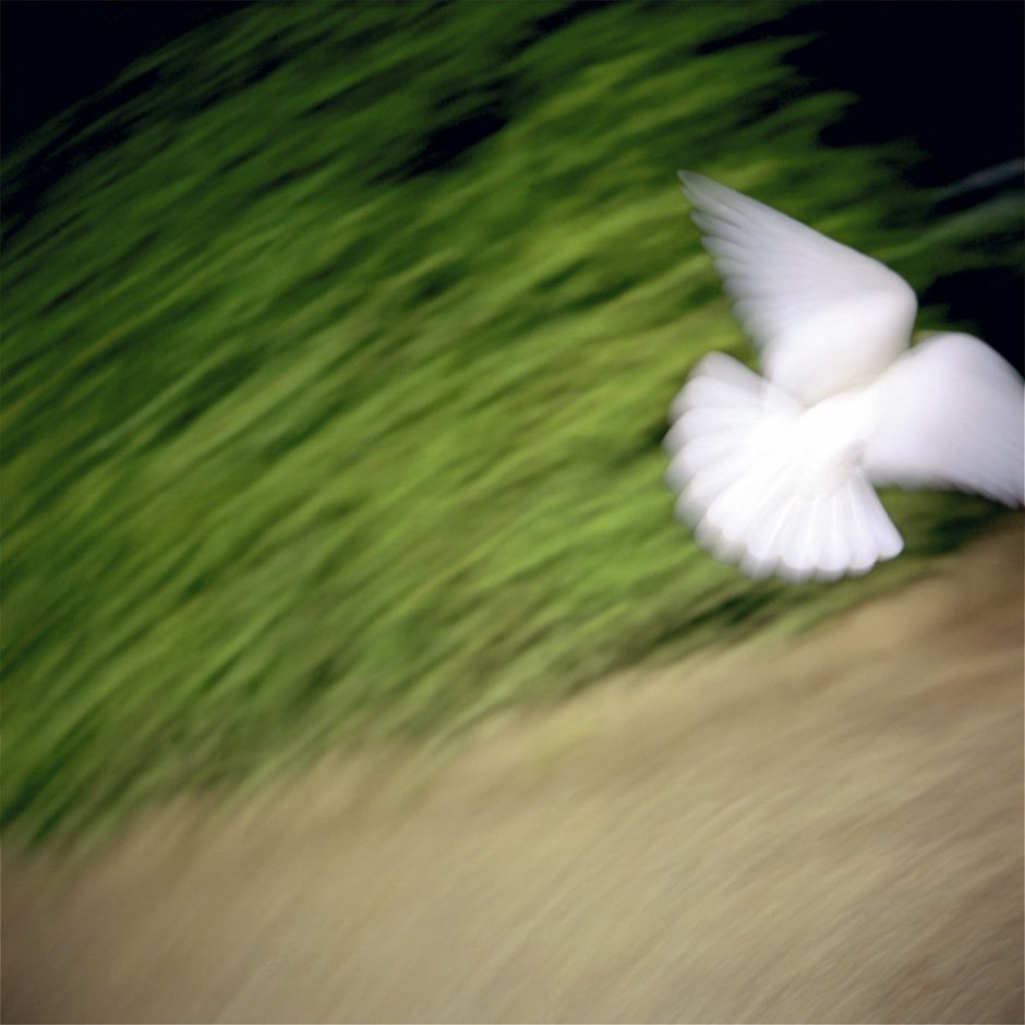 Italy, Florence, 2000