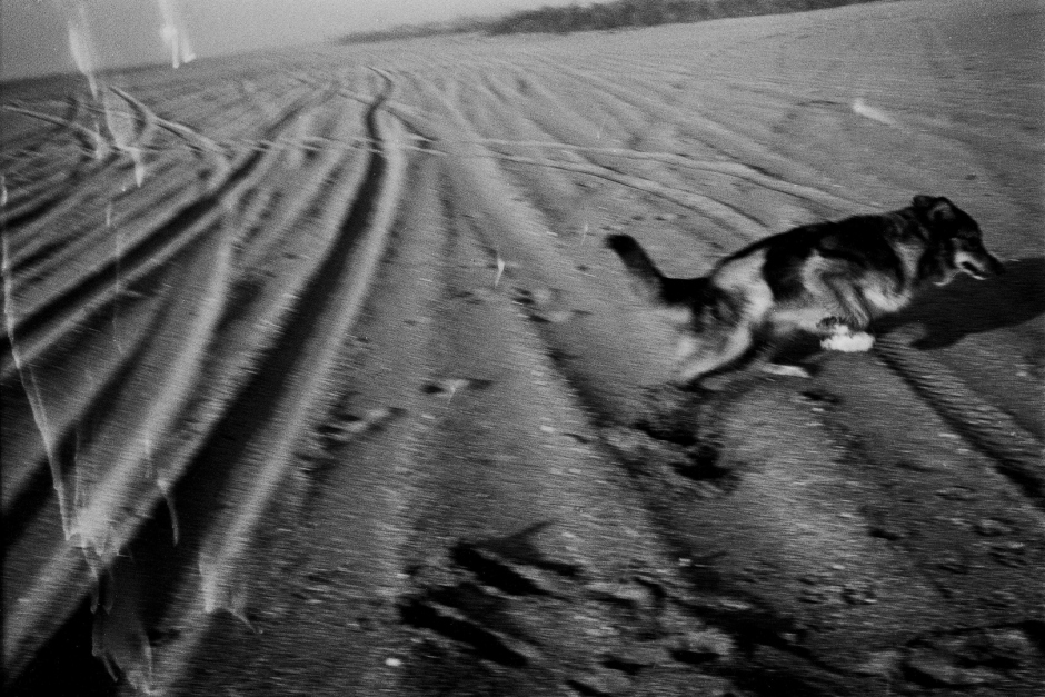 Argentina, Villa Gesell, 2005Villa Gesell is a kind of epilogue. Images were created in 2005, a time in which I was living in a cabin in the beach.Argentine, Villa Gesell, 2005 Villa Gesell est une sorte d'Èpilogue. Les images ont ÈtÈ faites en 2005, ‡ une pÈriode o˘ j'habitais dans une cabine de plage.© Adriana Lestido / Agence VU