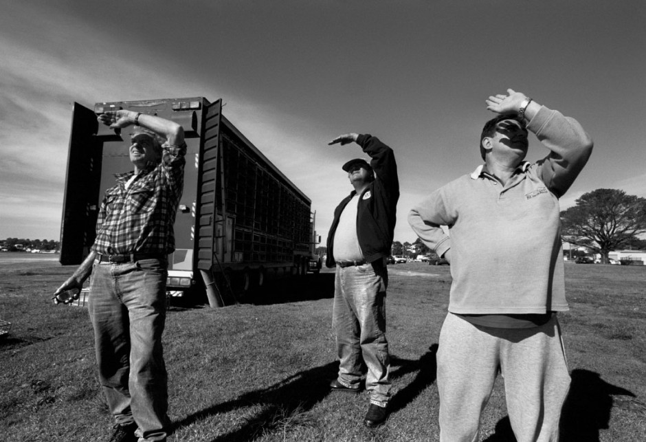 Australia, Greenwell point, 2005Racing pigeons' progress being observed after  the start of the race.Australie, Greenwell point, 2005Les Èleveurs observent leurs pigeons de course aprËs le dÈpart de la course.Steven Siewert / Agence VU