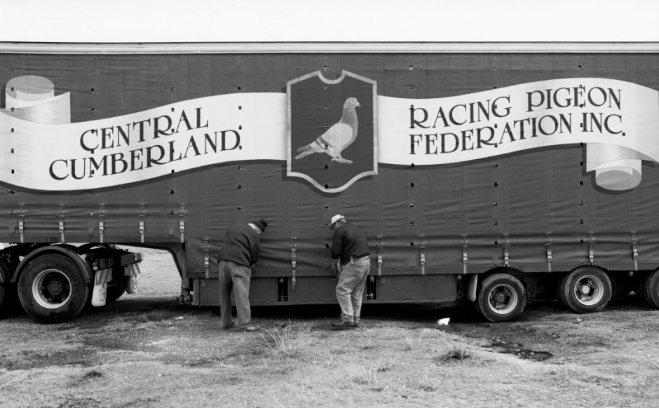 Australia, Greenwell point, 2005Racing pigeon truck being packed up after the start of the race.Australie, Greenwell point, 2005On range le camion des pigeons aprËs le dÈpart de la course.Steven Siewert / Agence VU