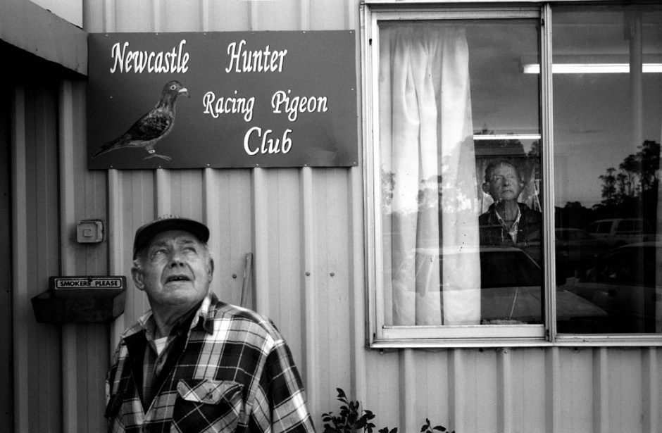 Australia, Red Head, 2006Pigeon fanciers look to the sky for signs of the first pigeons to arrive home.Australie, Red Head, 2006Les Èleveurs de pigeons regadrent le ciel pour voir les signes des premiers pigeons qui arriveraient ‡ la maison.Steven Siewert / Agence VU