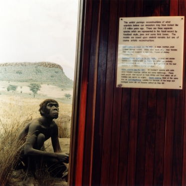 Safari, 2005