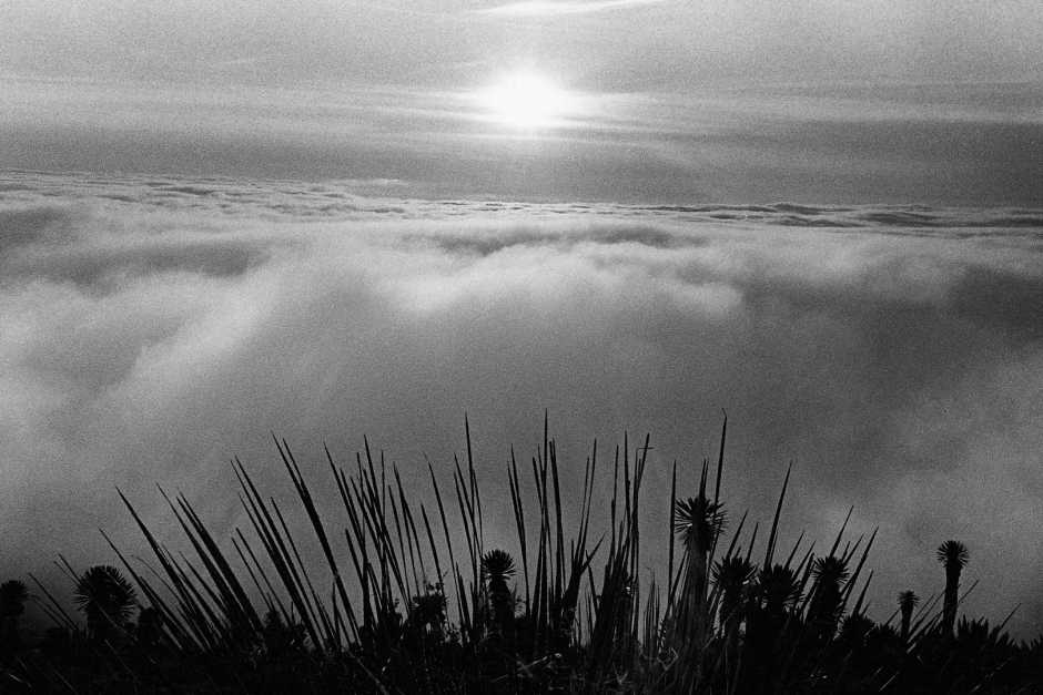 2005,Love is a vague, deep and terribly intimate feeling. Far from the general, we are let on our own questionings. Words are missing to share it. Images help to express them. This set of photography is an essay on that feeling which makes us closer to an other...making each one forsaken too.2005,Líamour est un sentiment diffus, profond, et terriblement intime. Bien loin díÍtre universel, nous nous retrouvons seul face ‡ nos questionnements. Pour le partager, les mots nous manquent parfois. Reste alors les images pour expliquer ce que nous ressentons. Cette sÈrie de photographies est un essai sur ce sentiment qui nous rapproche de líautre...en nous esseulant.© Adriana Lestido / Agence VU