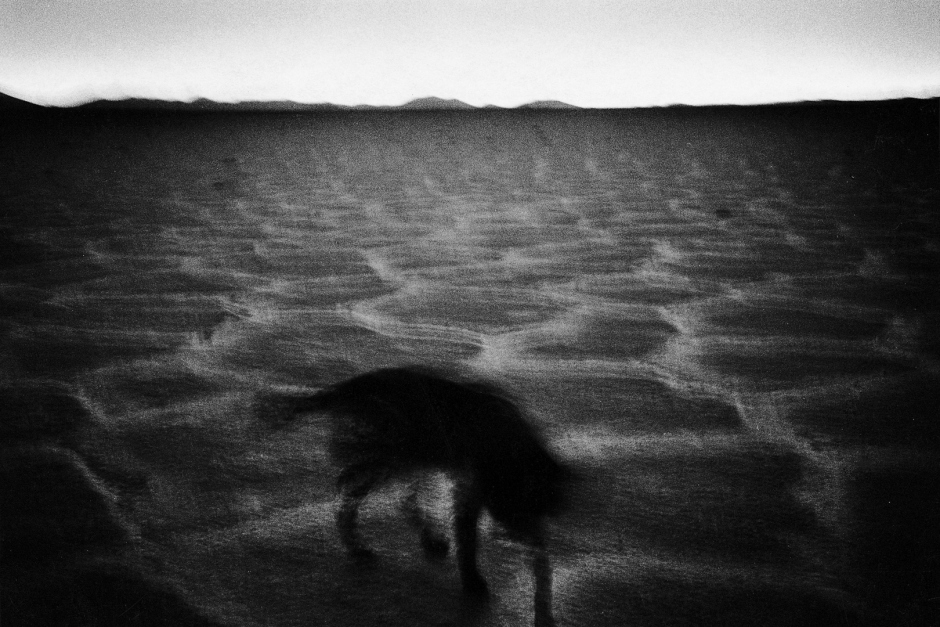 2005,Love is a vague, deep and terribly intimate feeling. Far from the general, we are let on our own questionings. Words are missing to share it. Images help to express them. This set of photography is an essay on that feeling which makes us closer to an other...making each one forsaken too.2005,Líamour est un sentiment diffus, profond, et terriblement intime. Bien loin díÍtre universel, nous nous retrouvons seul face ‡ nos questionnements. Pour le partager, les mots nous manquent parfois. Reste alors les images pour expliquer ce que nous ressentons. Cette sÈrie de photographies est un essai sur ce sentiment qui nous rapproche de líautre...en nous esseulant.© Adriana Lestido / Agence VU