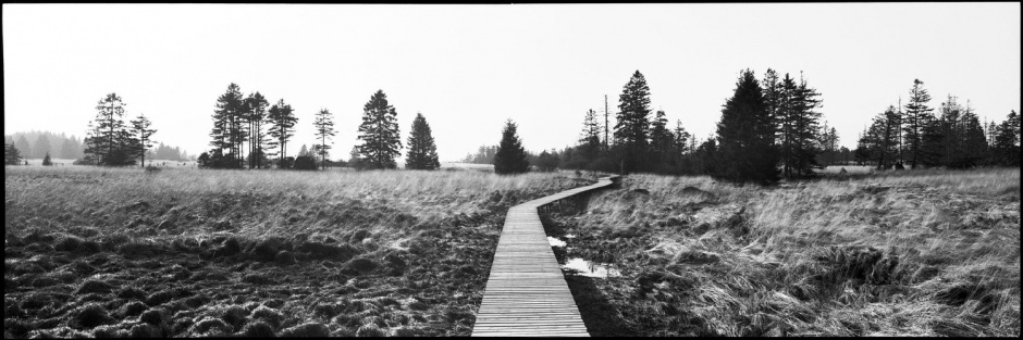Belgique, Les Hautes Fagnes, March 1992
