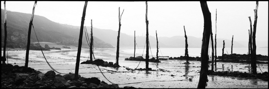 France, Brittany, January 1991 - Gwin Zegal port. Mooring systems fixed on high fishing pole to fiind them more easily at high tide.
