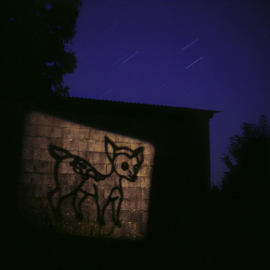 "Short lived",  2006