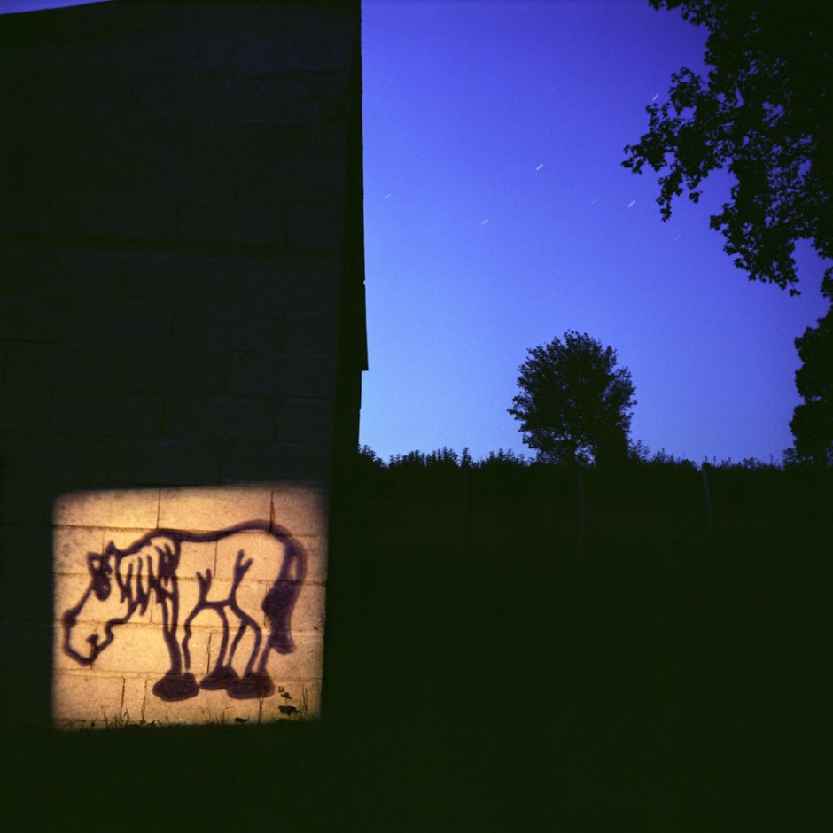 "Short lived",  2006