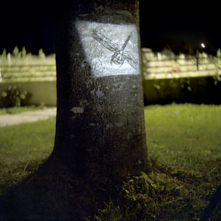 "Short lived",  2006