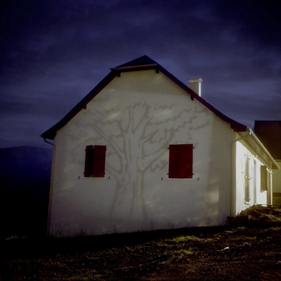 "Short lived",  2006