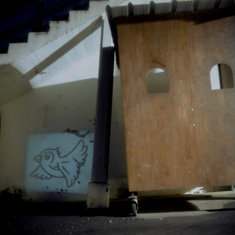 "Short lived",  2006