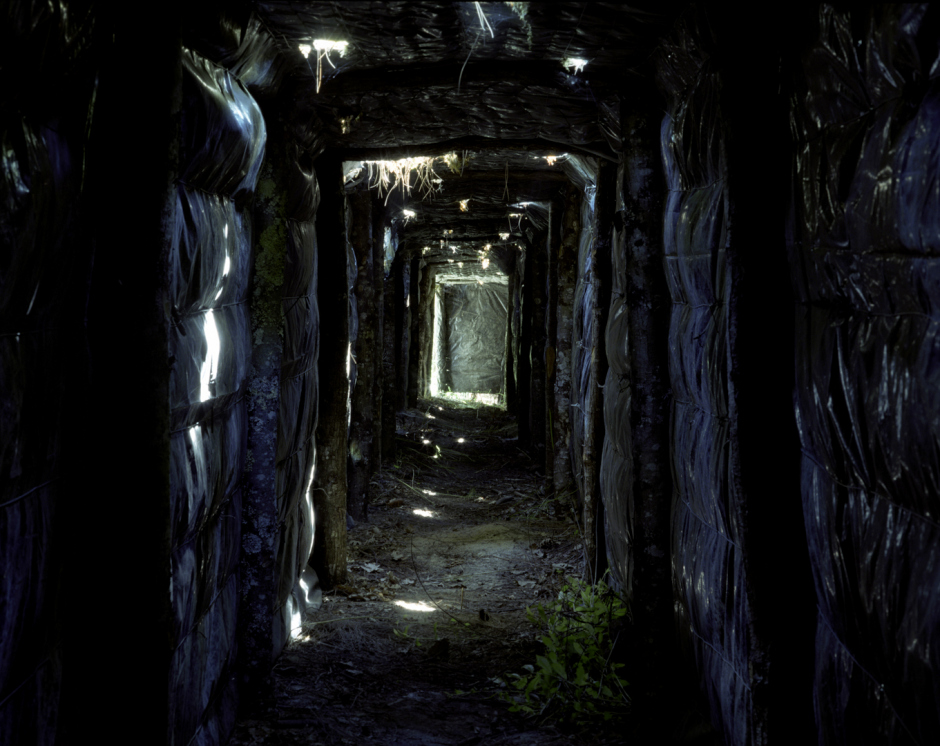 France, Bordeaux region, 2005Black polythËne is used to block out sunlight in Jackie's PalombiËre tunnel in Ch‚teau de Farges' woods. Each PalombiËre has a maze of tunnels which allow the bird hunters to go between the traps without being seen or heard by the the birds, which would otherwise be frightened away.France,  Le Bordelais, 2005Du polyÈthylËne noir empÍche la lumiËre du jour d'entrer dans un couloir de la palombiËre de Jackie dans les bois du Ch‚teau de Fargues. Chaque palombiËre est un labyrinthe de tunnels qui permettent aux chasseurs de se dÈplacer sans Ítre vus ni entendus par les palombes, qui ‡ juste titre, s'effraient et s'envolent pour un oui ou un non.Rip Hopkins / Agence VU