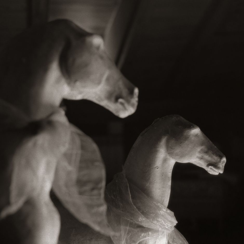 Spain, 2006From the series "Cronicas de un desembarco".Espagne, 2006Issue de la sÈrie "Cronicas de un desembarco".Israel AriÒo / Agence VU