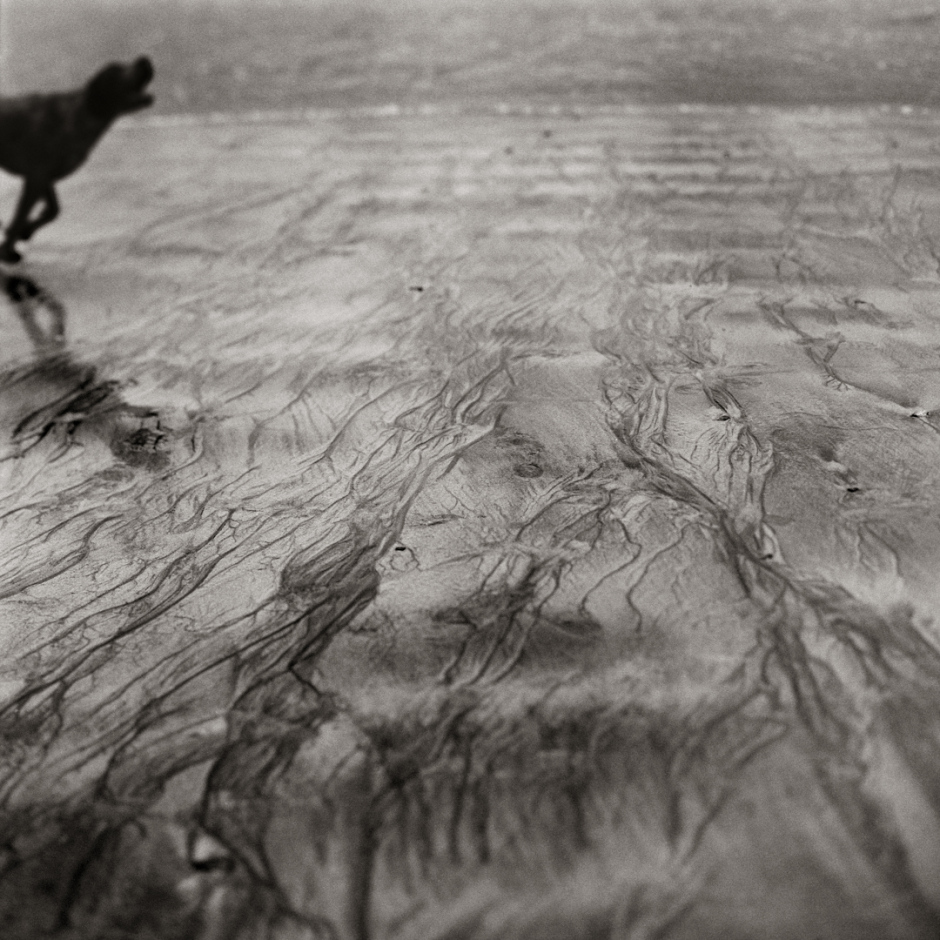 Spain, 2006From the series "Cronicas de un desembarco".Espagne, 2006Issue de la sÈrie "Cronicas de un desembarco".Israel AriÒo / Agence VU