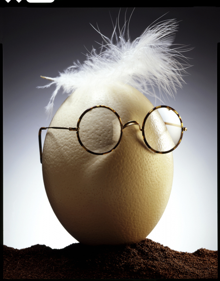 France, 2009Theoretical views, The age of reason.France, 2009Vues de l'esprit, Age de raison.Quentin Bertoux / Agence VU