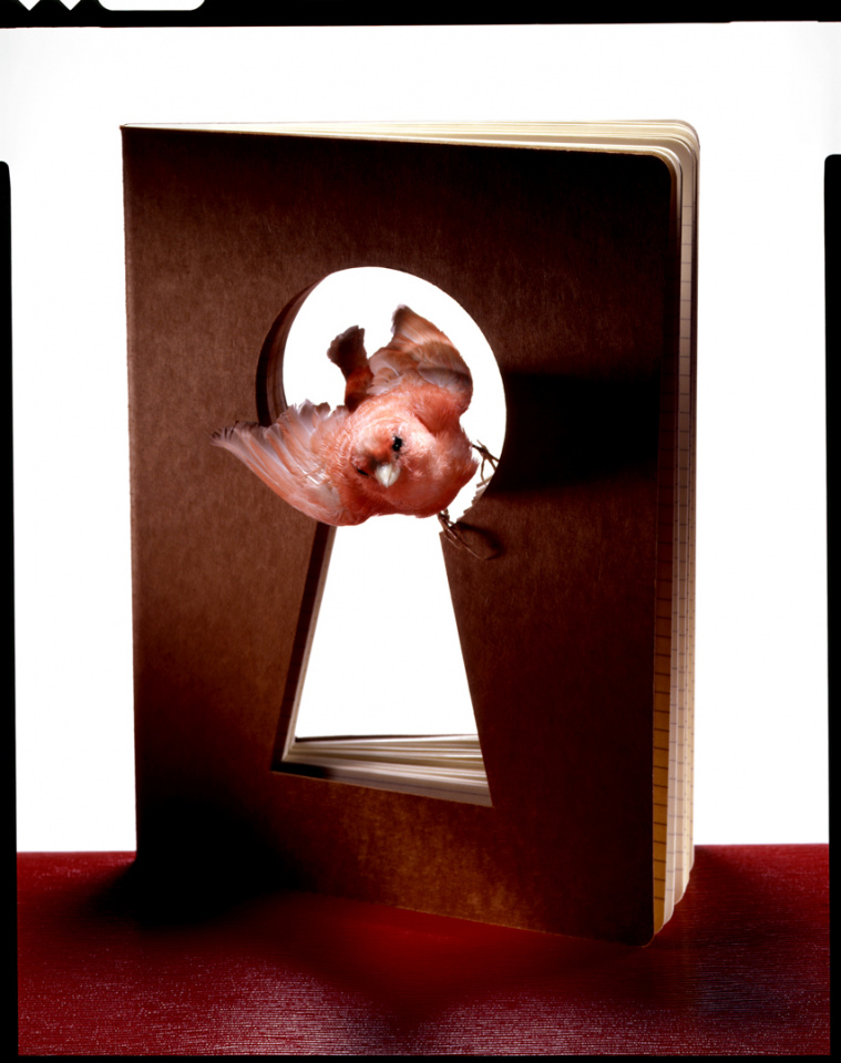 France, 2009Theoretical views, Diary.France, 2009Vues de l'esprit, Journal intime.Quentin Bertoux / Agence VU