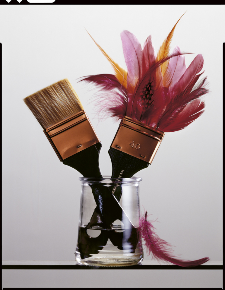 France, 2009Theoretical views, Hair and feather (girls side, boys side).France, 2009Vues de l'esprit, A poil et ‡ plume (cÙtÈ filles, cÙtÈ garÁons).Quentin Bertoux / Agence VU