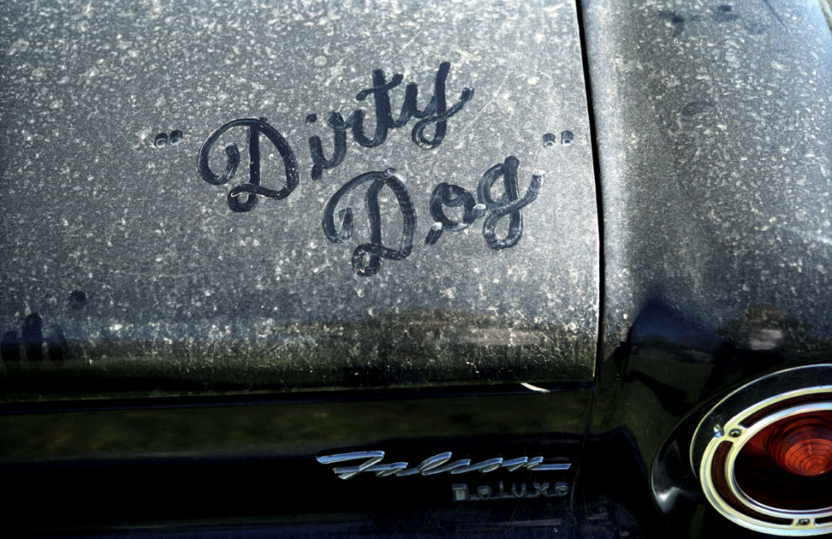 August 2004, Brisbane, Australia.Dirty dogPinstriping is a Kustom Kulture tradition of hand painting designs on cars. This photograph shows some "primitive" pinstriping, with "Dirty Dog" written on the dusty boot of an early 1960s Ford Falcon at the 2007 GreazeFest Hot Rod Show.Ao˚t 2004, Brisbane, Australie.Dirty dog.La peinture sur carrosserie est une tradition de la Kulture Kustome. "Dirty Dog" sur une Ford Falcon de 1960  au GreazeFest Hot Rod Show 2007.Steven Siewert / Agence VU