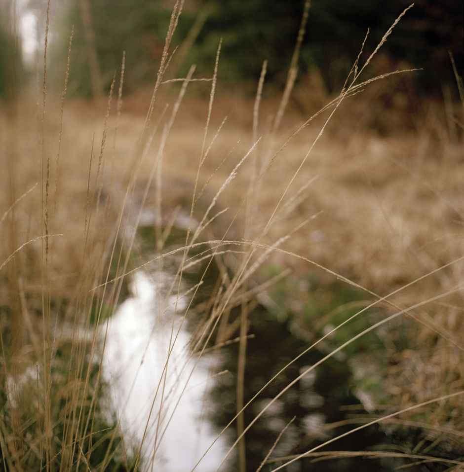 France, Touraine, dÈcembre 2006SÈrie 'La LUMI»RE des JOURS'Sophie Chivet / Agence VU
