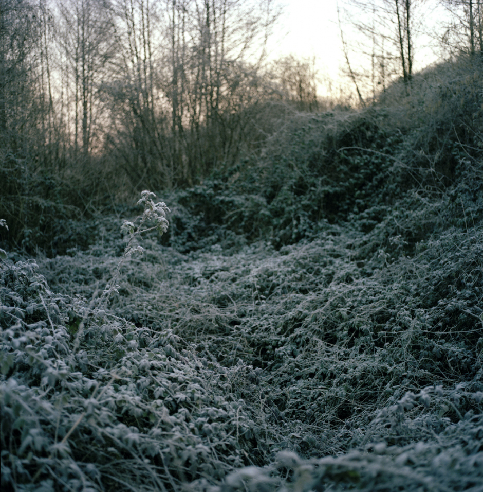 France, Touraine, janvier 2008SÈrie 'La LUMI»RE des JOURS'Sophie Chivet / Agence VU