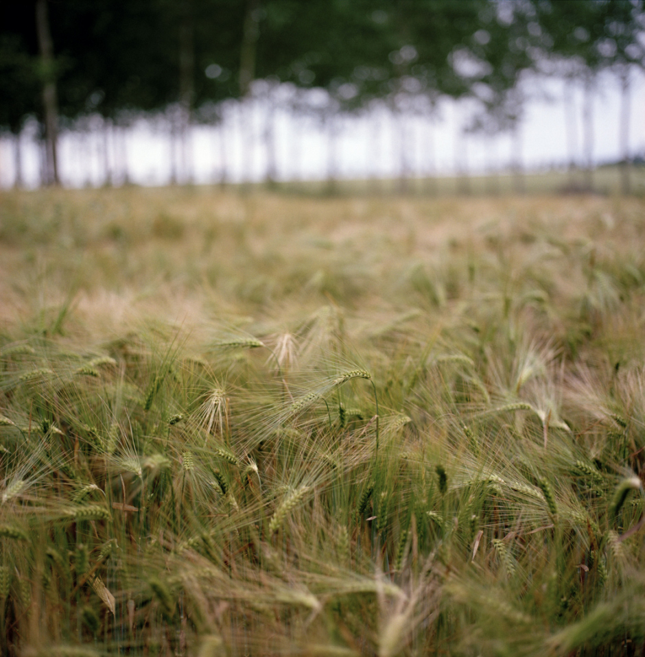 France, Touraine, mai 2007SÈrie 'La LUMI»RE des JOURS'Sophie Chivet / Agence VU