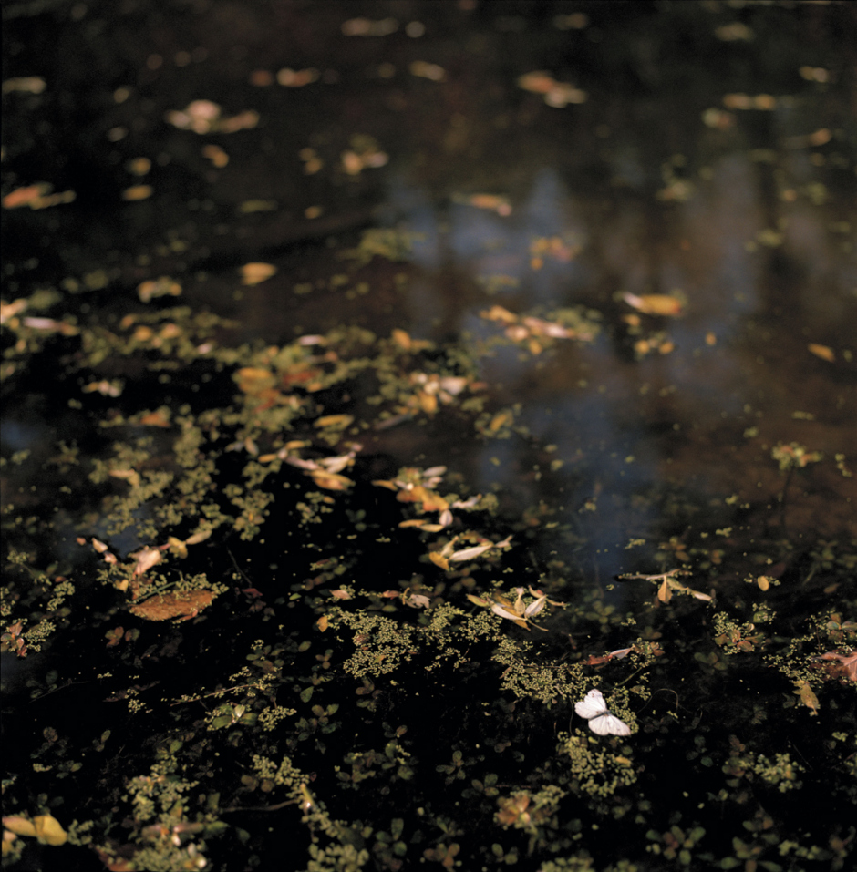 France, Touraine, octobre 2007Bords de LoireSÈrie 'La LUMI»RE des JOURS'Sophie Chivet / Agence VU