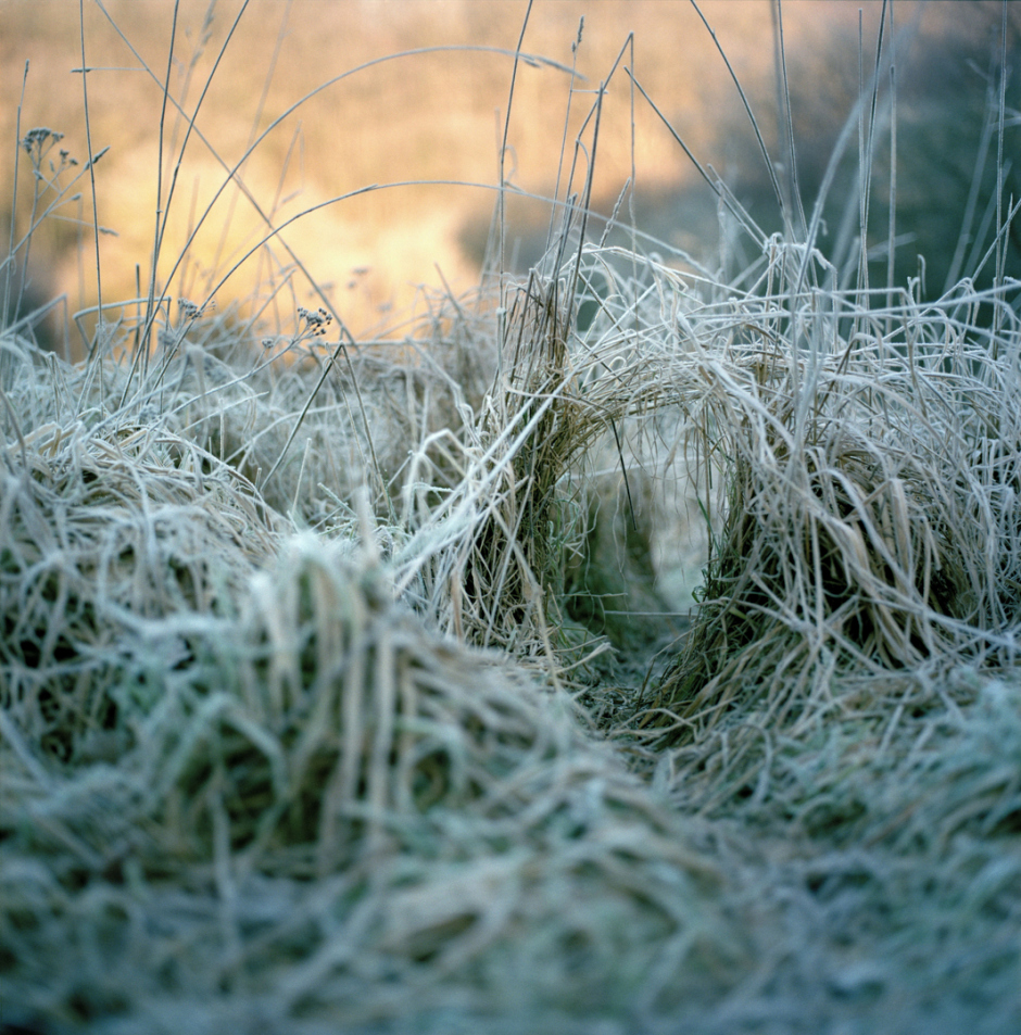 France, Touraine, janvier 2008SÈrie 'La LUMI»RE des JOURS'Sophie Chivet / Agence VU