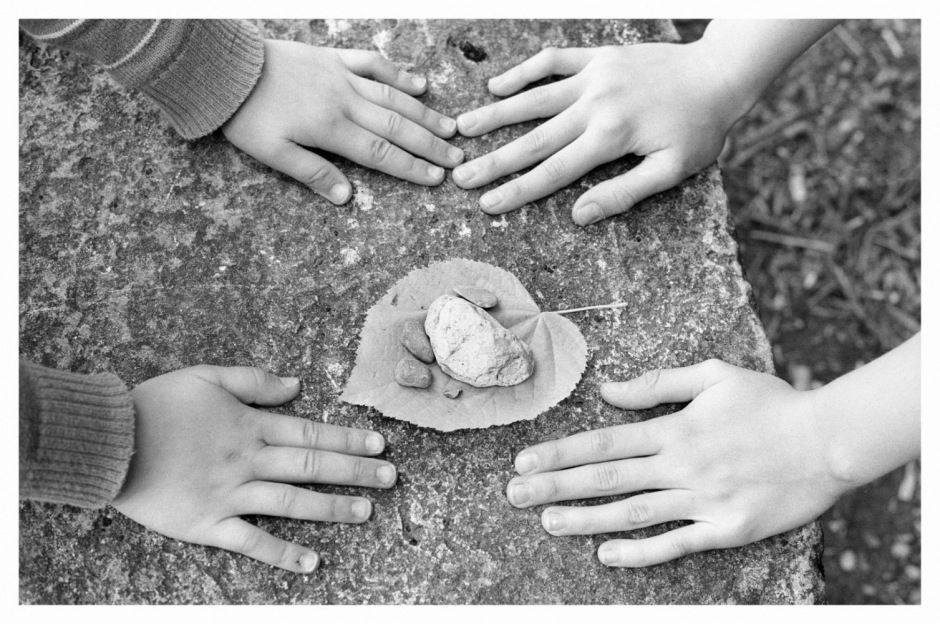 France, Ecouen, July 2008.