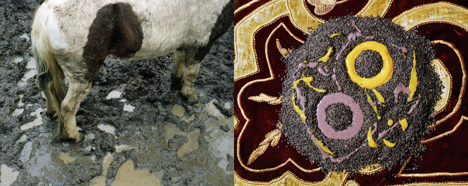 Procedure : thickening ñ luid becomes less liquidDich : pumpkin and ´ venerated ª rice creamProcÈdÈ : Èpaississement - liquide devient moins liquide.Plat : crËmes de potimarron et de riz vÈnÈrÈ© Rip Hopkins / Agence VU